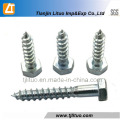 Electro Galvanized Hexagen Head Wood Screws (M6-M20)